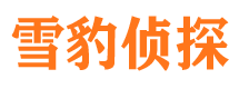 滴道市婚姻出轨调查